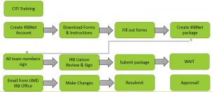 A chart of the IRB Process from start to finish